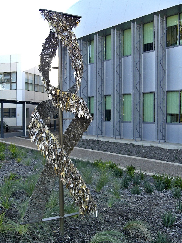 cintra-image-2