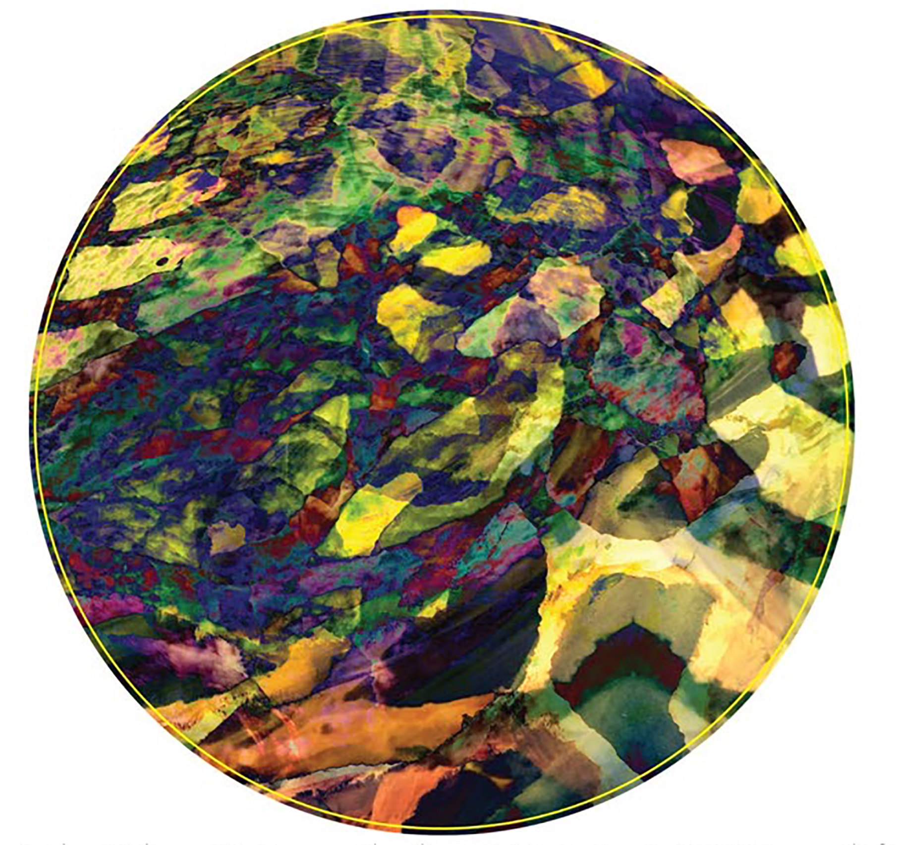 D9D64119 8233 4EDE B1EB 998A19001184