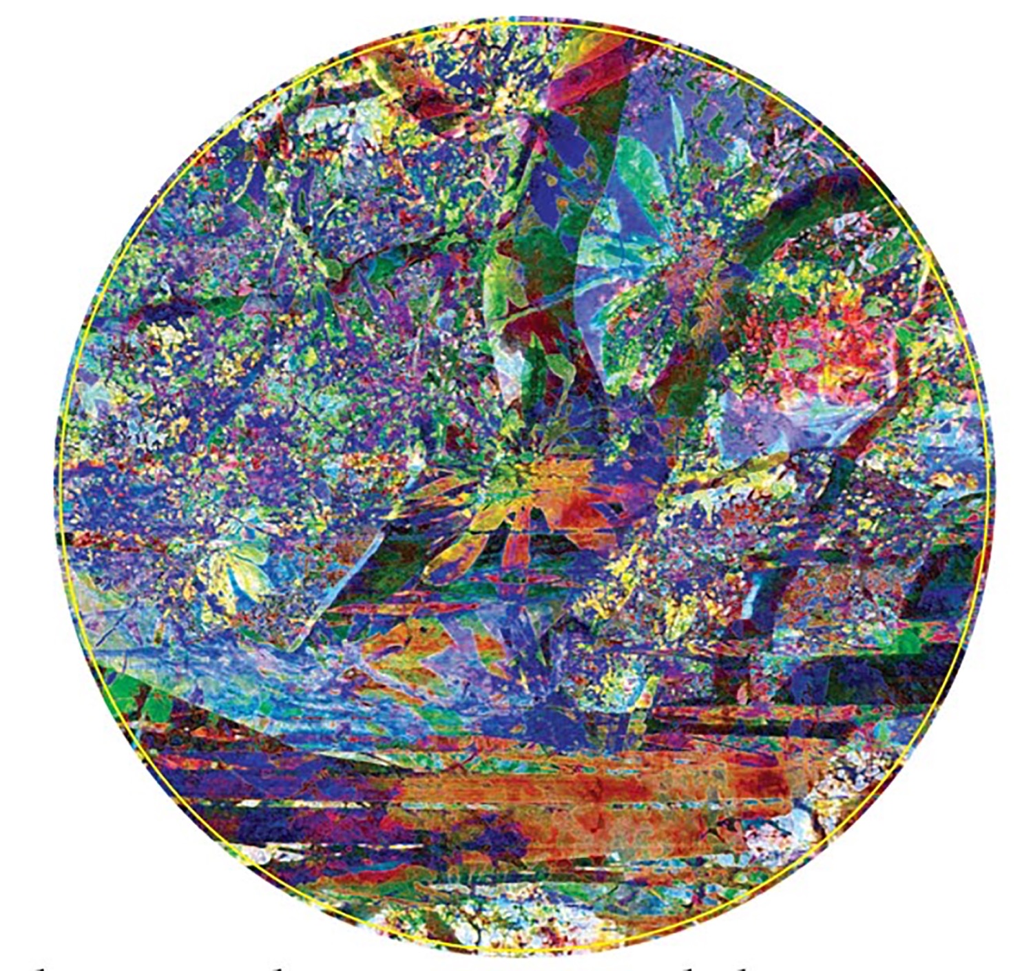 DBF9E36F 1E64 4DB3 99D6 68F6DC9E6566