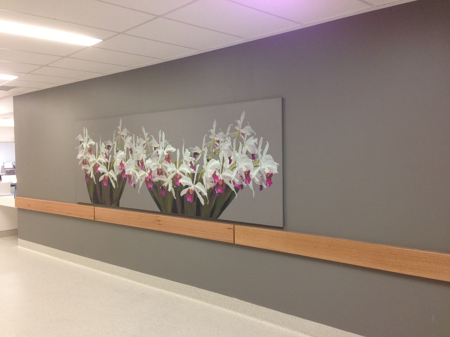 drag and drop img 203