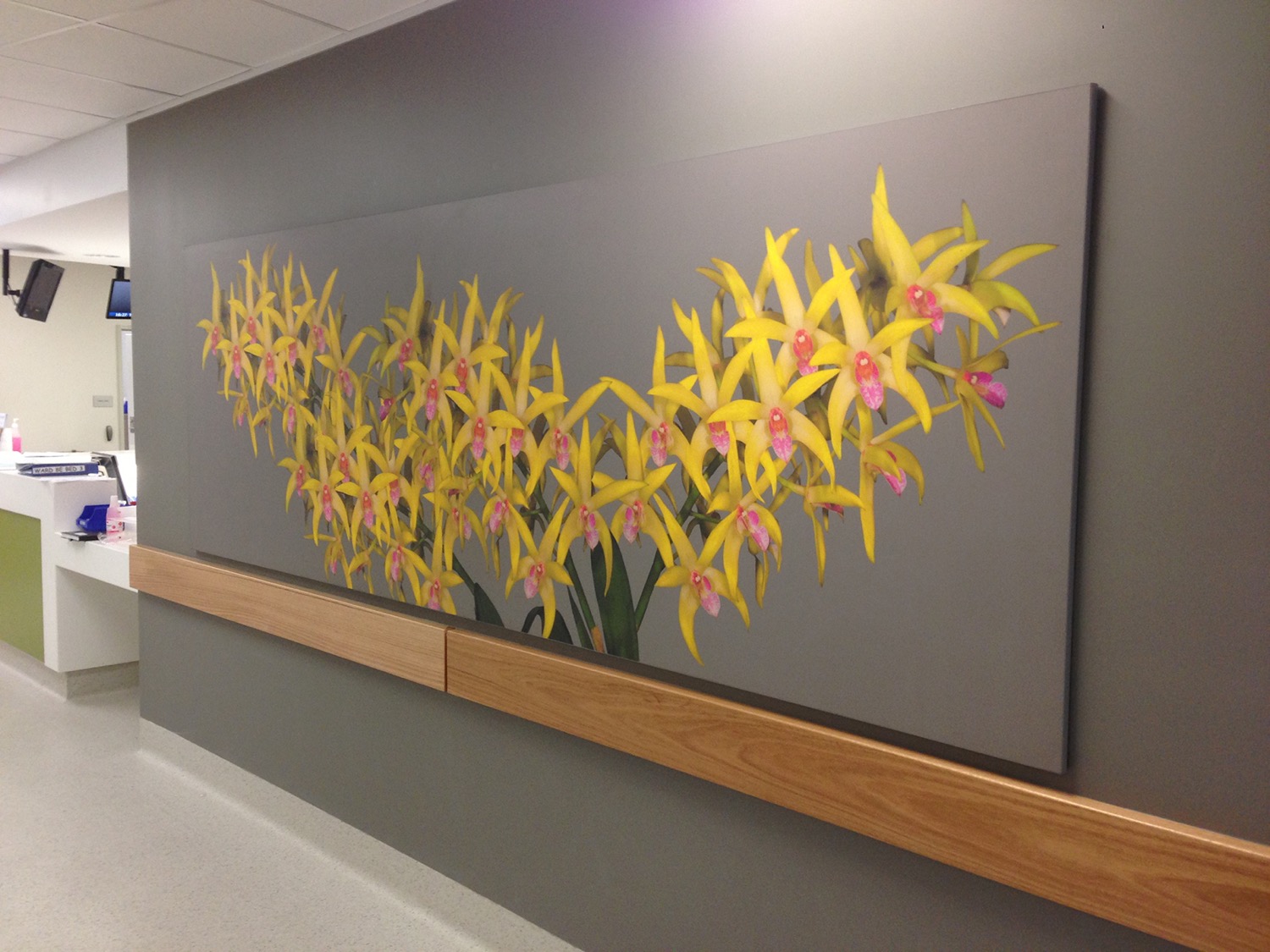 drag and drop img 217