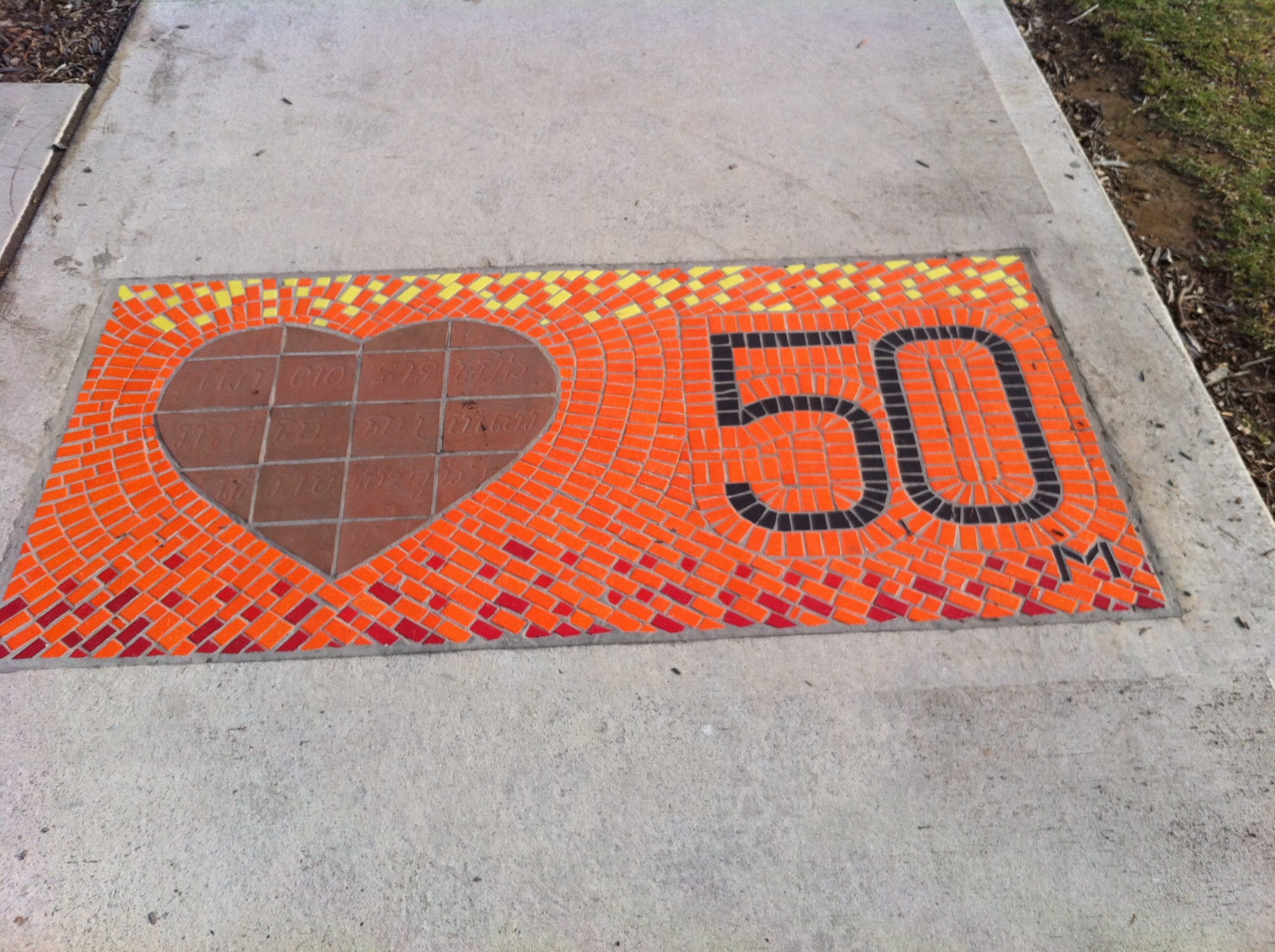 drag and drop img 5081