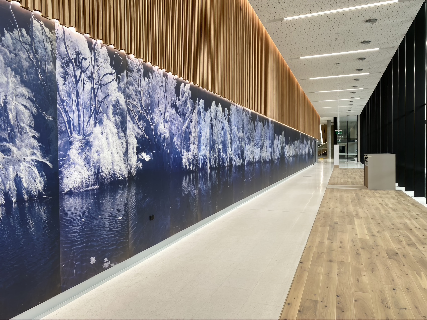 drag and drop img 45